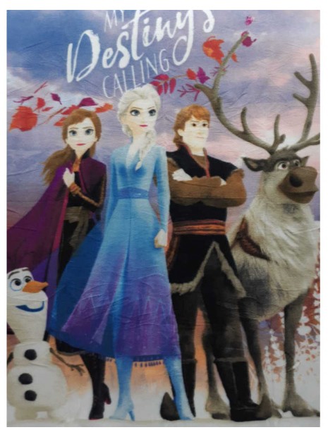 Dívčí fleecová deka Ledové království / Frozen